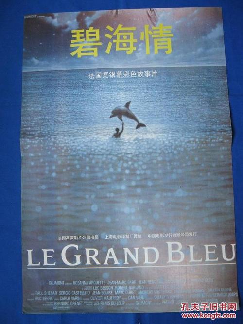 机车国际驾照怎么申请流程